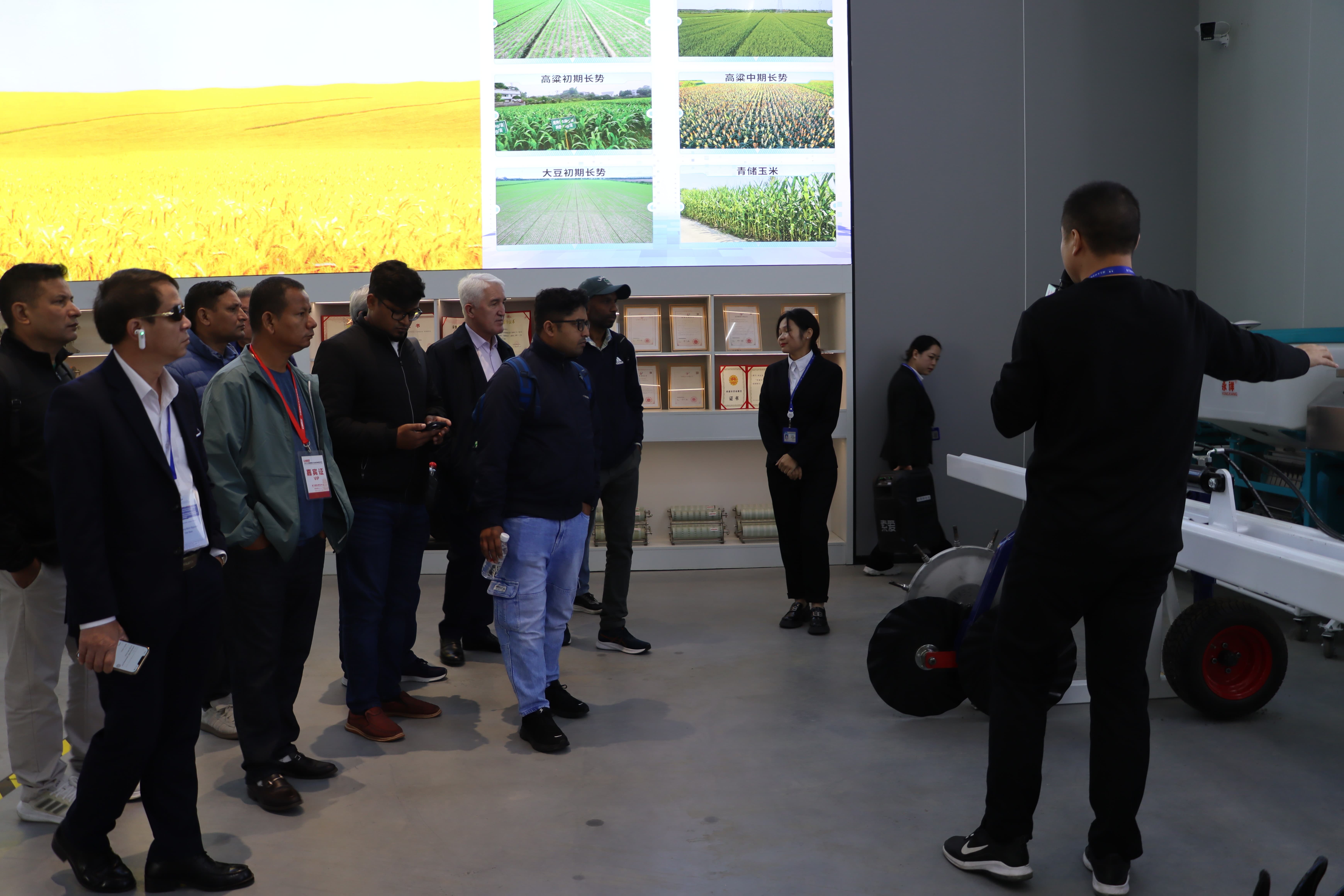 IMG_9178 (1) IMG_9178 (1)