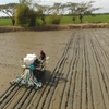 Pneumatic Accurate Multi-purpose Rice Seeder with Fertilizer Applicator