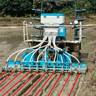 Precision Row Seeding